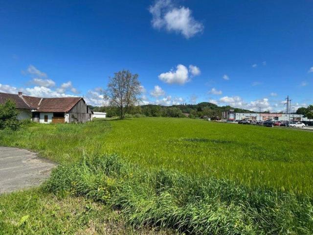 Grundstück kaufen in Feldbach, Steiermark