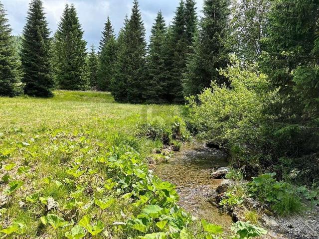 Grundstück kaufen in Glödnitz, Kärnten