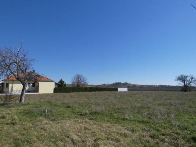 Grundstück kaufen in Gols, Burgenland