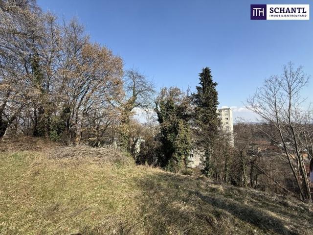 Grundstück kaufen in Gersdorf-Feistritz, Steiermark