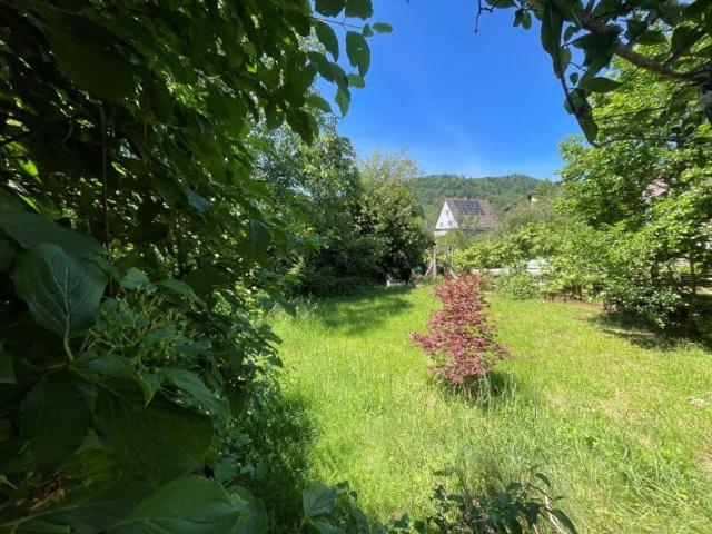 Grundstück kaufen in Gersdorf-Feistritz, Steiermark