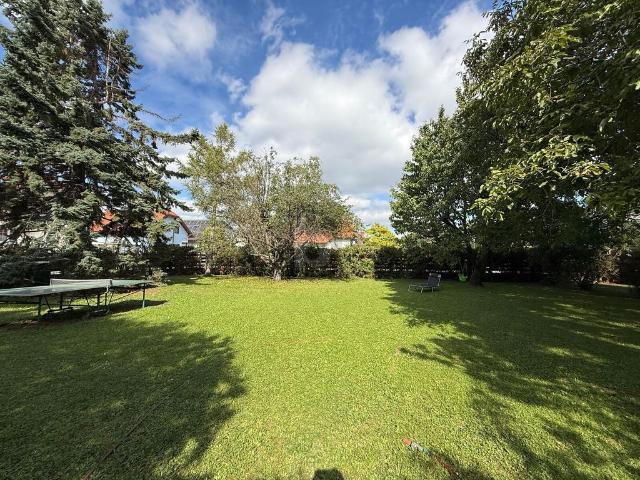 Grundstück kaufen in Guntramsdorf, Niederösterreich