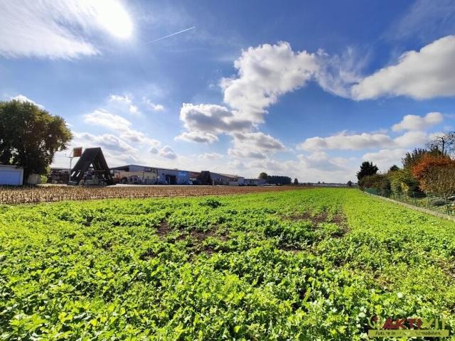 Grundstück kaufen in Hausmannstätten, Steiermark