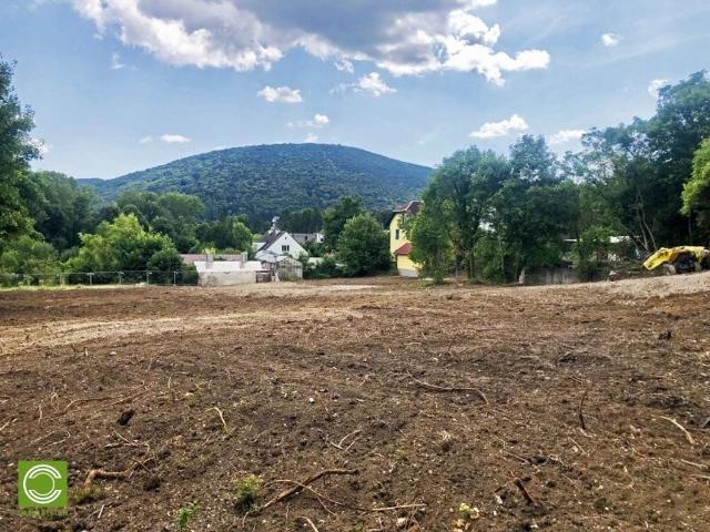 Grundstück kaufen in Hinterbrühl, Niederösterreich