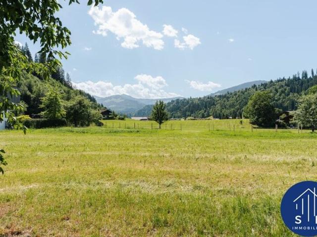 Grundstück kaufen in Hopfgarten i.Br., Tirol