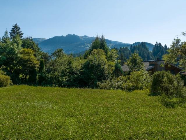 Grundstück kaufen in Aurach bei Kitzbühel, Tirol