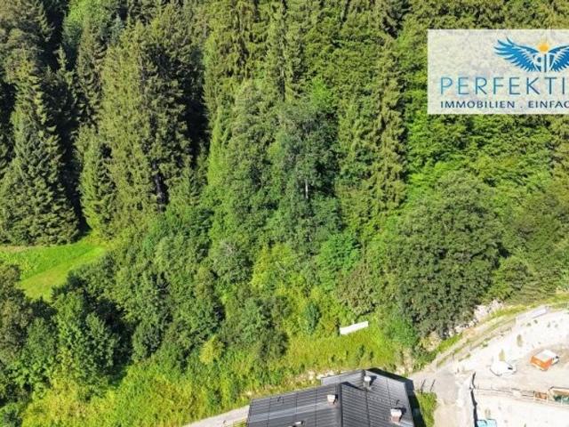 Grundstück kaufen in Aurach bei Kitzbühel, Tirol