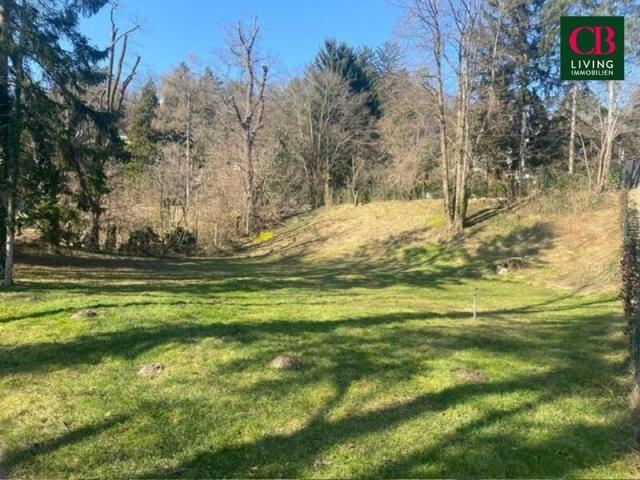 Grundstück kaufen in Klosterneuburg, Niederösterreich