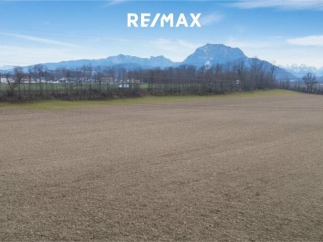 Grundstück kaufen in Laakirchen, Oberösterreich