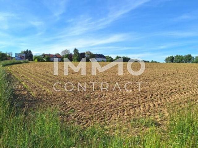 Grundstück kaufen in Landfriedstetten, Bergland