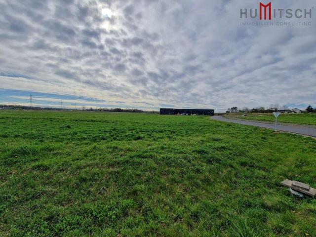 Grundstück kaufen in Lang, Steiermark