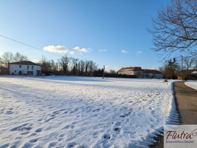 Grundstück kaufen in Marchtrenk, Oberösterreich