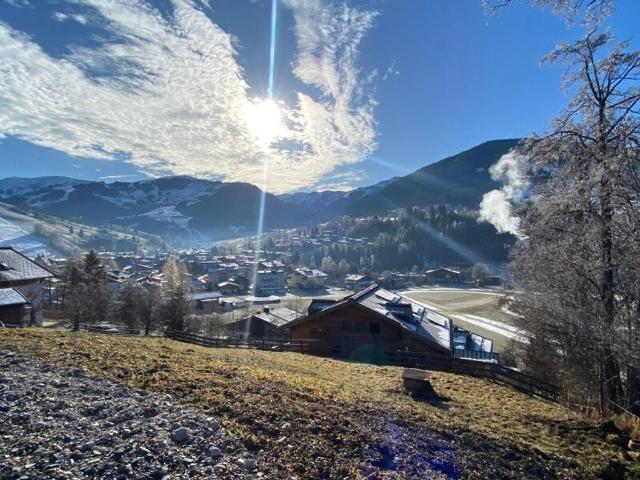 Grundstück kaufen in Mariaalm, Salzburg