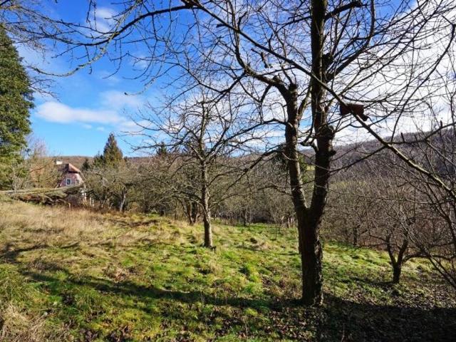 Grundstück kaufen in Mauerbach, Niederösterreich