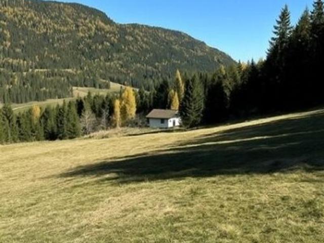 Grundstück kaufen in Murau, Steiermark