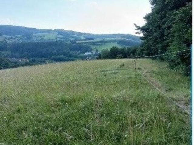Grundstück kaufen in Neulengbach, Niederösterreich
