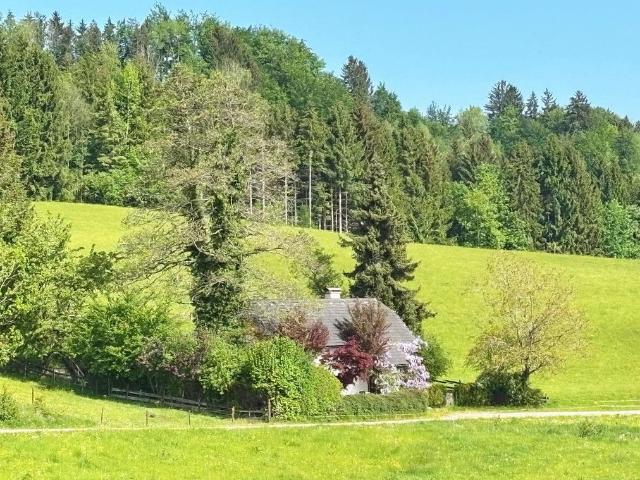 Grundstück kaufen in Oberhofen am Irrsee, Oberösterreich