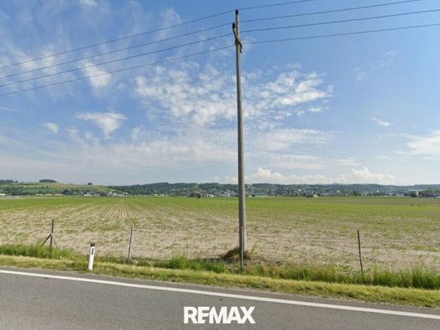 Grundstück mieten in Perg, Oberösterreich