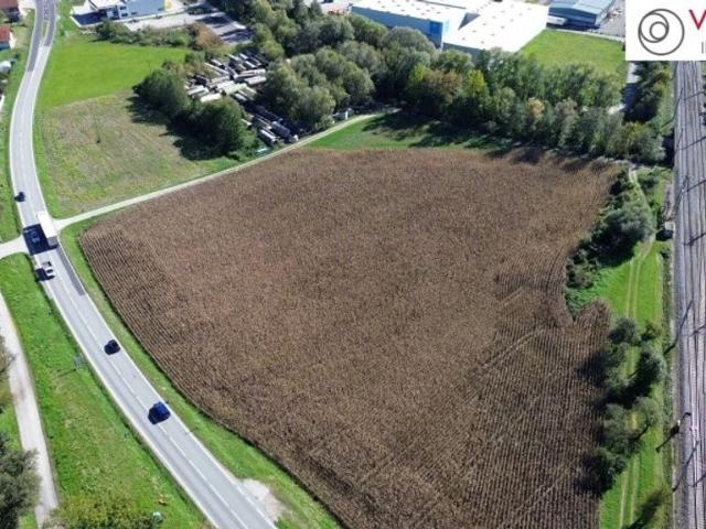 Grundstück kaufen in Pichl bei Wels, Oberösterreich