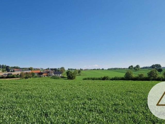 Grundstück kaufen in Pollham, Oberösterreich