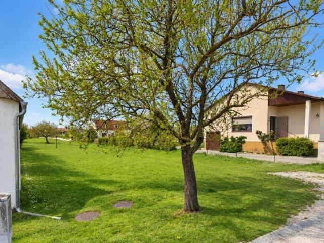 Grundstück kaufen in Pürbach, Burgenland