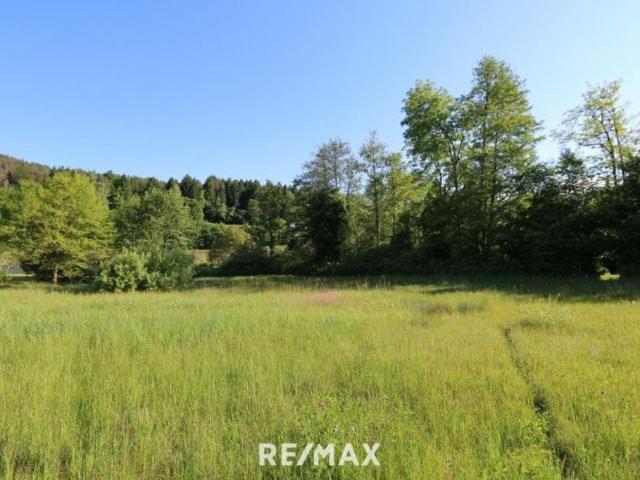 Grundstück kaufen in Völkermarkt, Kärnten