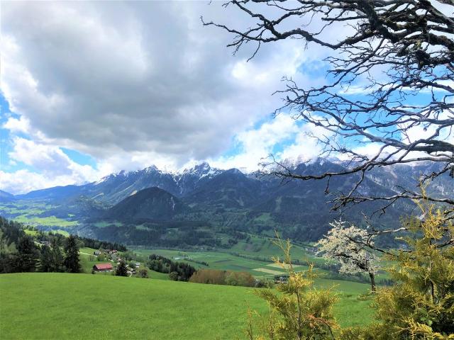 Grundstück kaufen in Maistatt, Schladming