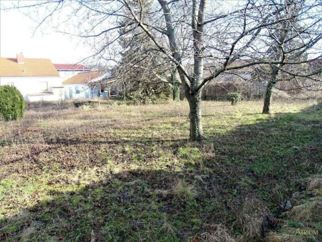 Grundstück kaufen in Schwechat, Niederösterreich