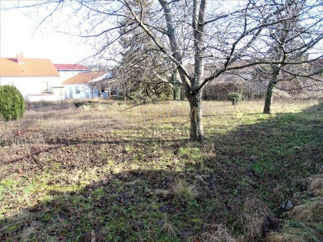 Grundstück kaufen in Schwechat, Niederösterreich