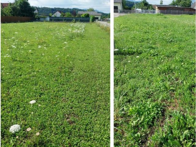 Grundstück kaufen in Sierning, Oberösterreich