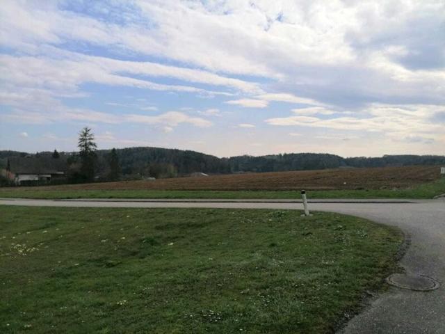 Grundstück kaufen in Sinabelkirchen, Steiermark