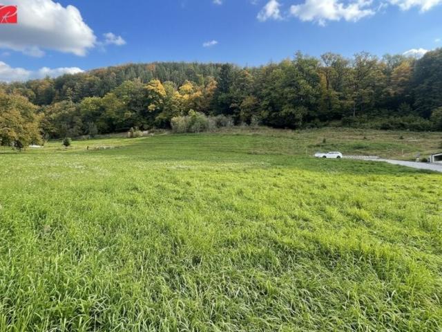 Grundstück kaufen in Stattegg, Steiermark