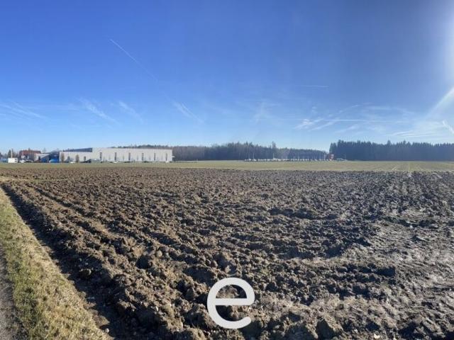 Grundstück kaufen in Steinhaus, Oberösterreich