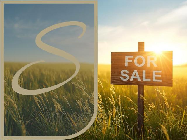 Grundstück kaufen in Straßwalchen, Salzburg