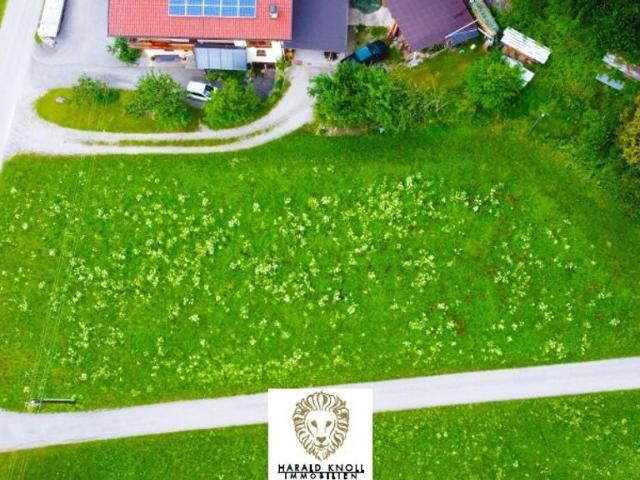 Grundstück kaufen in Stumm, Tirol