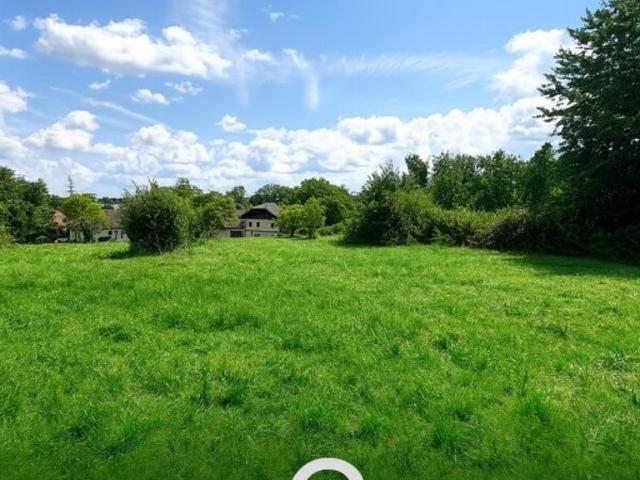 Grundstück kaufen in Weibern, Oberösterreich