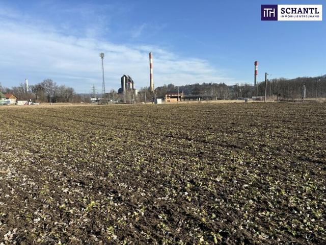 Grundstück kaufen in Werndorf, Steiermark