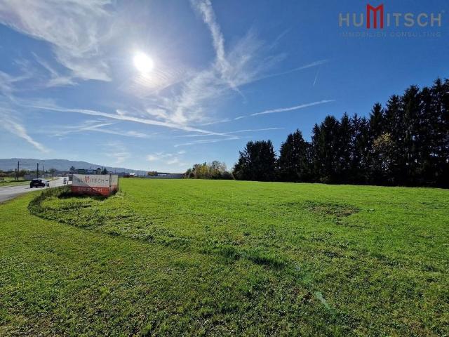 Grundstück kaufen in Wildon, Steiermark