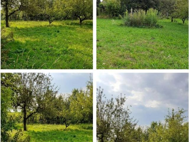 Grundstück kaufen in Wilhering, Oberösterreich