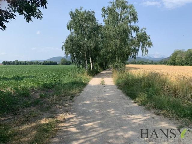 Grundstück kaufen in Willendorf, Niederösterreich