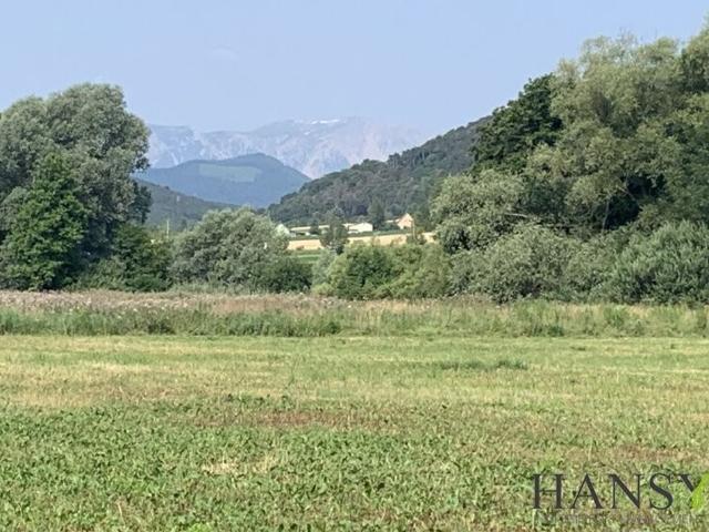 Grundstück kaufen in Willendorf, Niederösterreich