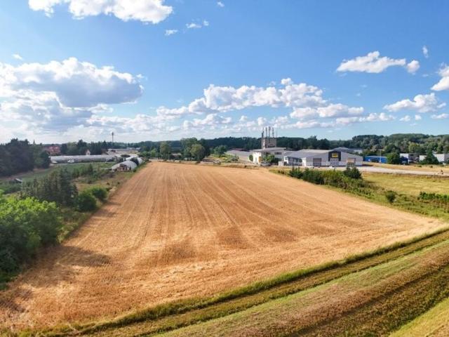 Grundstück kaufen in Zeiselmauer, Zeiselmauer-Wolfpassing