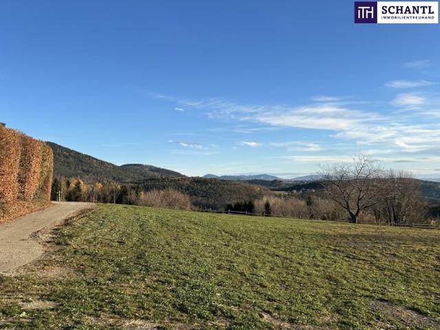 Grundstück kaufen in Friesach, Kärnten