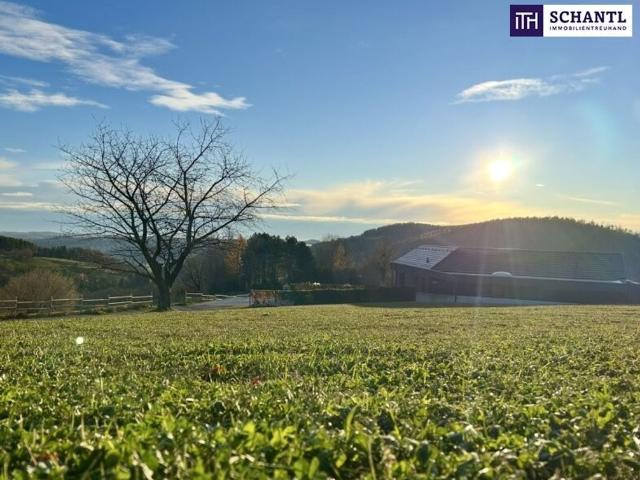Grundstück kaufen in Friesach, Kärnten