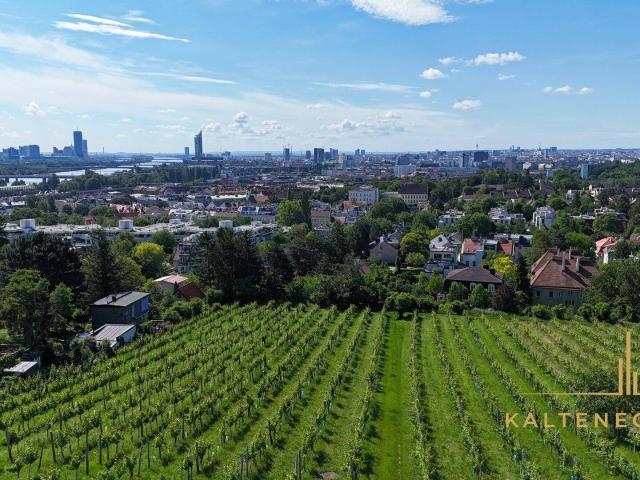 Haus kaufen in Döbling, Wien