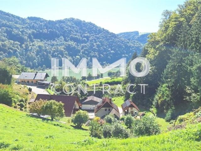 Grundstück kaufen in St. Nikola an der Donau, Oberösterreich