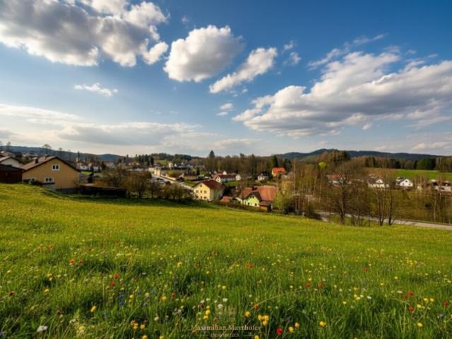 Grundstück kaufen in Bad Großpertholz, Niederösterreich