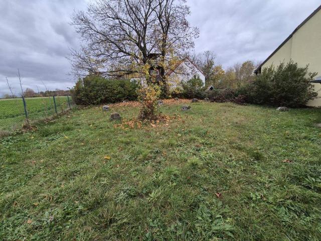 Grundstück kaufen in Hollabrunn, Niederösterreich
