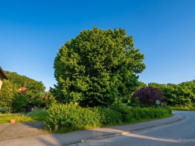 Grundstück kaufen in Grein, Oberösterreich
