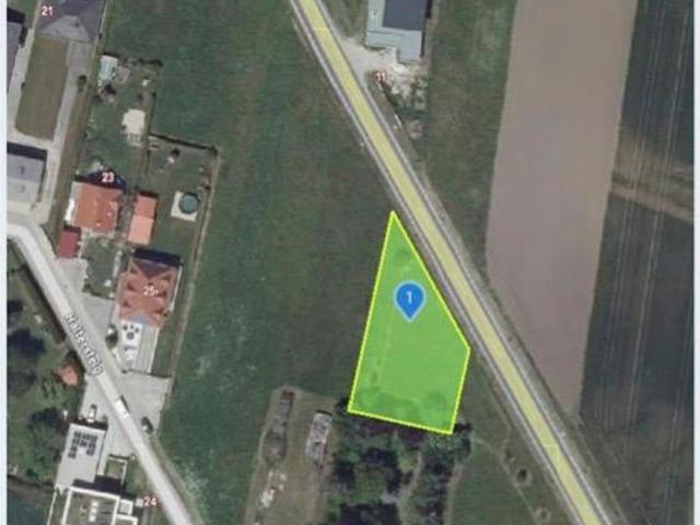 Grundstück kaufen in Hof am Leithaberge, Niederösterreich